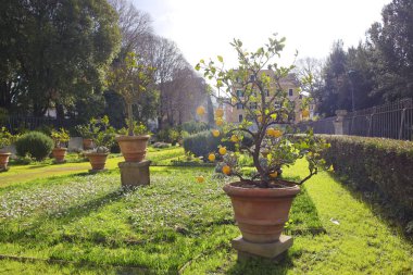 İtalya, Roma 'daki Borghese Galerisi' nin yanına park et.