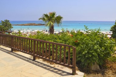 Kıbrıs Rum Kesimi 'nin Protaras kentindeki İncir Ağacı Körfezi Sahili manzarası güneşli yaz günü