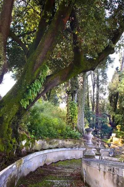 İtalya, Tivoli 'deki Villa d' Este Parkı