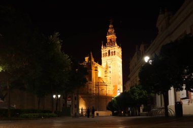 İspanya 'nın Sevilla şehrinde gece vakti Gotik Katedrali