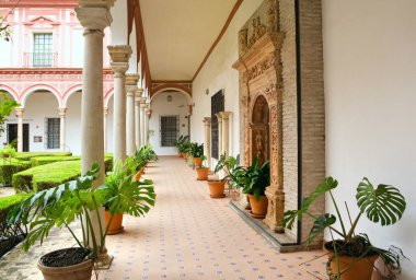 İspanya Sevilla Güzel Sanatlar Müzesi Avlusu