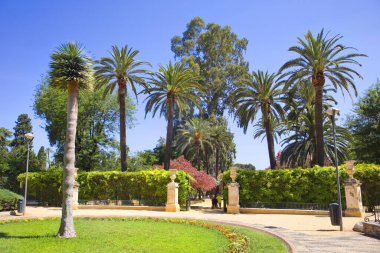 İspanya, Seville 'de yaz güneşli bir günde Murillo Bahçeleri manzarası