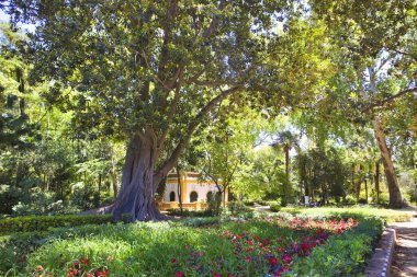 Seville, İspanya 'daki Maria Luisa Parkı' nda küçük bir sinagog.