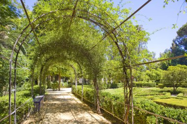 Maria Luisa Parkı Seville, İspanya