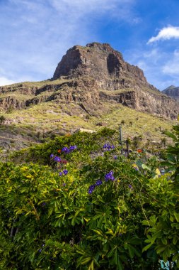  Tenerife 'de güneşli bir günde Masca Köyü yakınlarında doğa