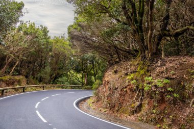  Park Kırsal de Anaga Yolu - Tenerife 'nin kuzeydoğusunda doğa rezervi