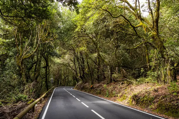  Park Kırsal de Anaga Yolu - Tenerife 'nin kuzeydoğusunda doğa rezervi