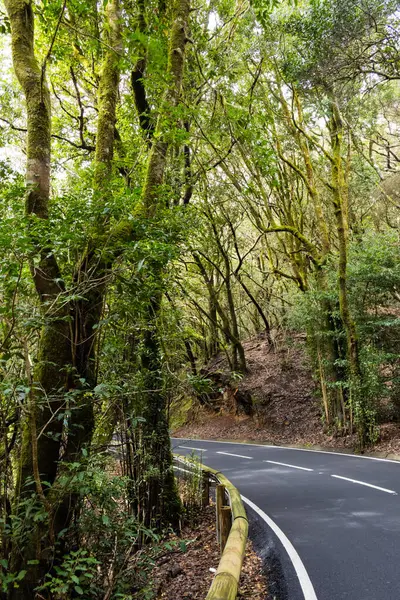  Park Kırsal de Anaga Yolu - Tenerife 'nin kuzeydoğusunda doğa rezervi