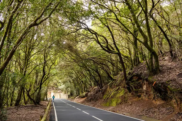  Park Kırsal de Anaga Yolu - Tenerife 'nin kuzeydoğusunda doğa rezervi
