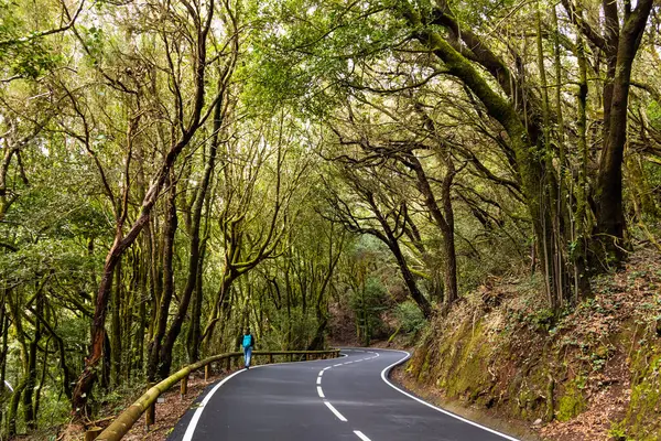  Park Kırsal de Anaga Yolu - Tenerife 'nin kuzeydoğusunda doğa rezervi