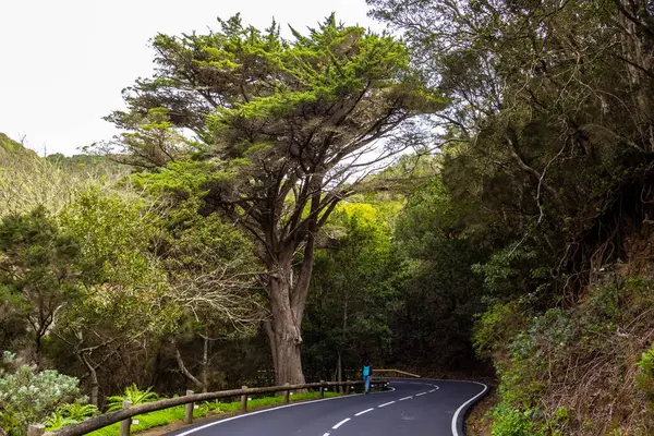  Park Kırsal de Anaga Yolu - Tenerife 'nin kuzeydoğusunda doğa rezervi
