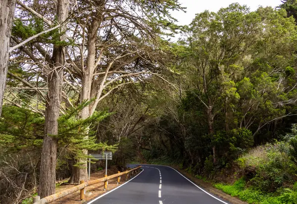  Park Kırsal de Anaga Yolu - Tenerife 'nin kuzeydoğusunda doğa rezervi