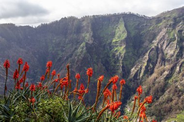 Portekiz 'in Madeira Adası Curral das Freiras manzarası