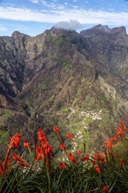 Portekiz 'in Madeira Adası Curral das Freiras manzarası