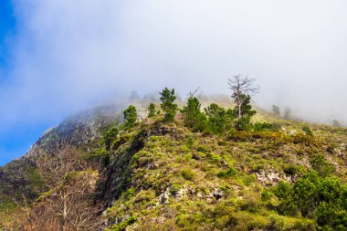 Madeira, Portekiz 'de Curral das Freiras yakınlarında doğa