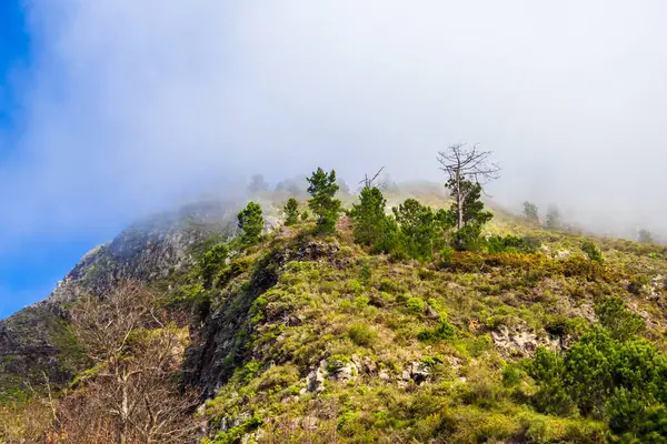 Madeira, Portekiz 'de Curral das Freiras yakınlarında doğa