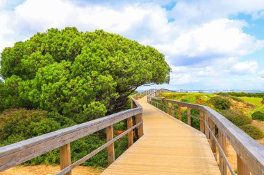 Güneşli bir günde Ponta da Piedade Walkways Lagos, Algarve, Portekiz