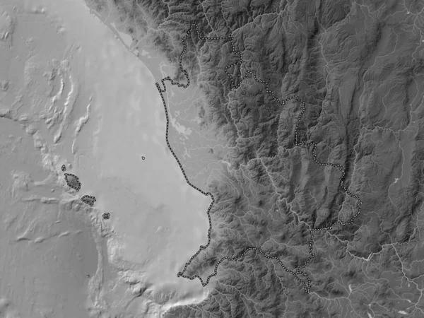 Nayarit 墨西哥州 带有湖泊和河流的灰度高程图 — 图库照片