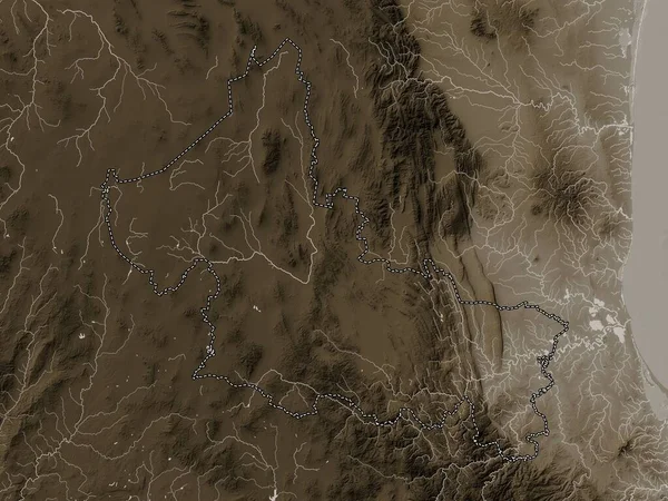Сан Луис Потоси Штат Мексика Карта Высот Окрашенная Сепиевые Тона — стоковое фото