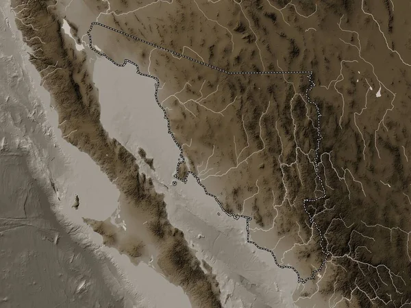 Сонора Штат Мексика Карта Высот Окрашенная Сепиевые Тона Озерами Реками — стоковое фото