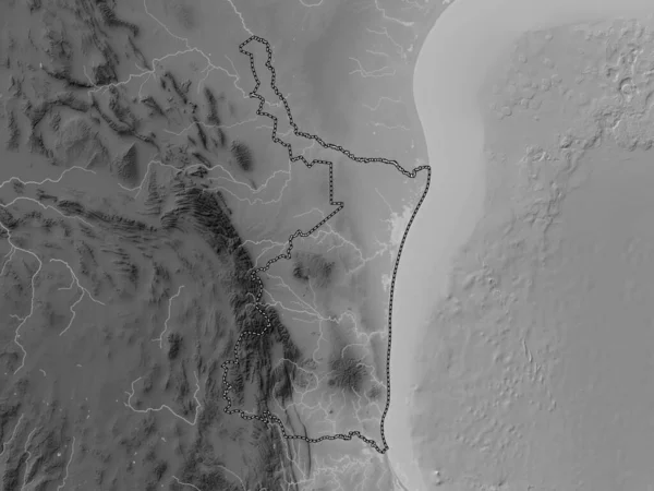 Tamaulipas État Mexique Carte Altitude Niveaux Gris Avec Lacs Rivières — Photo