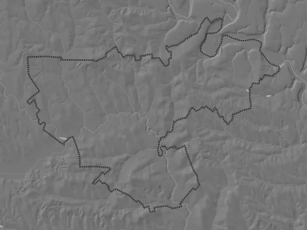 Floresti Distrito Moldavia Mapa Elevación Bilevel Con Lagos Ríos — Foto de Stock
