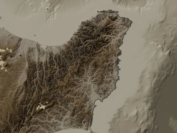 Гисборн Региональный Совет Новой Зеландии Карта Высот Окрашенная Сепиевые Тона — стоковое фото