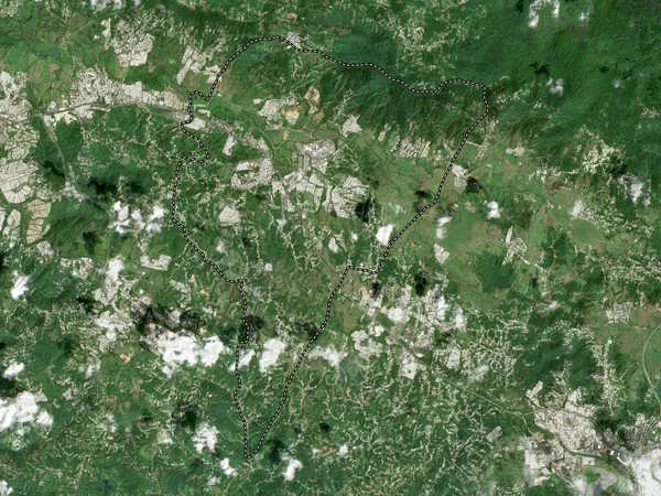 Juncos Municipality Puerto Rico Low Resolution Satellite Map — Stock Photo, Image