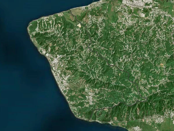 Rincon Municipality Puerto Rico Low Resolution Satellite Map — стоковое фото