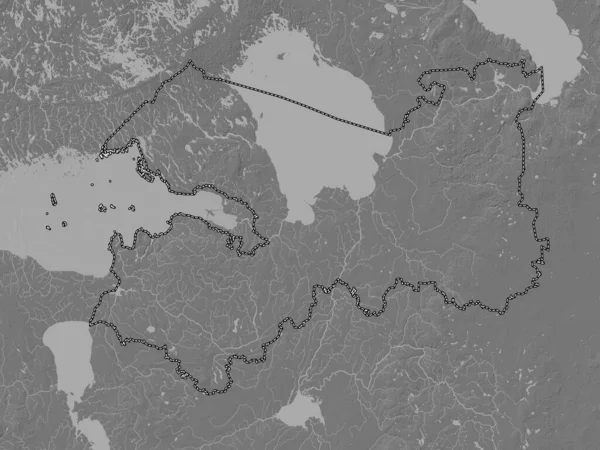 Leningrad Region Russia Bilevel Elevation Map Lakes Rivers —  Fotos de Stock