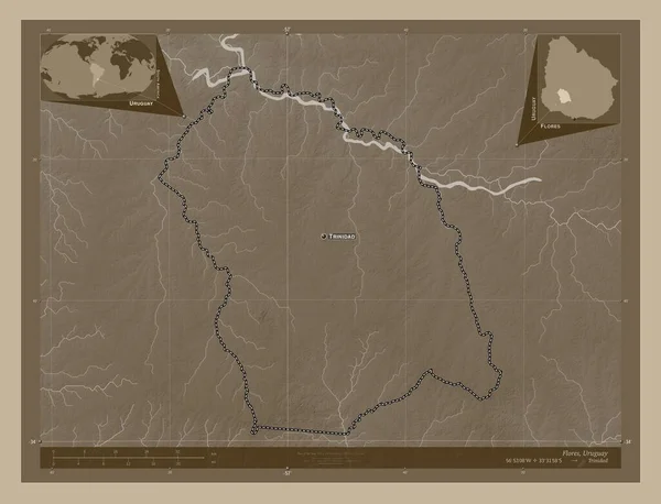 Флорес Департамент Уругвая Карта Высоты Окрашенная Сепиевые Тона Озерами Реками — стоковое фото