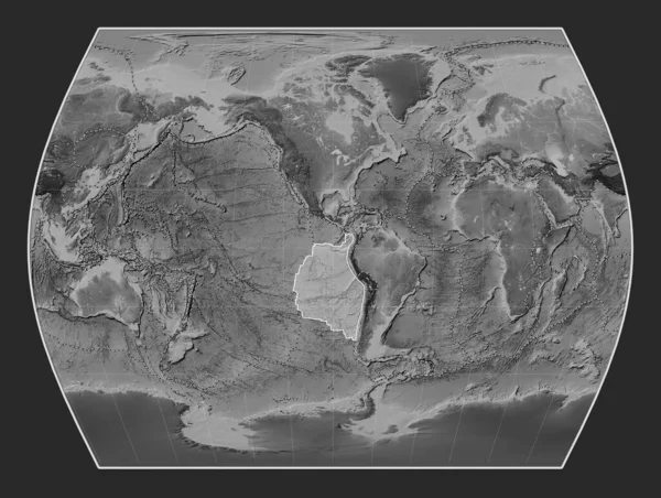 Tektonický Štítek Nazcy Výškové Mapě Stupních Šedi Projekci Timesů Meridálně — Stock fotografie