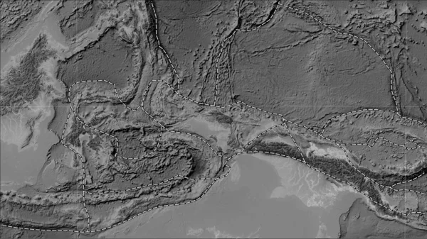Tectonic plate boundaries adjacent to the Birds Head tectonic plate on the grayscale elevation map in the Patterson Cylindrical (oblique) projection