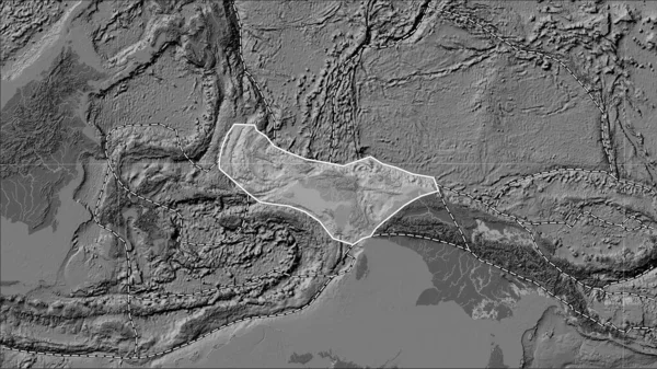 Birds Head tectonic plate and the boundaries of adjacent plates on the bilevel elevation map in the Patterson Cylindrical (oblique) projection