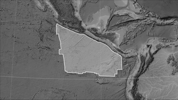 Kształt Płyty Tektonicznej Cocos Mapie Elewacji Skali Szarości Projekcji Patterson — Zdjęcie stockowe