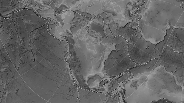 North American tectonic plate and the boundaries of adjacent plates on the grayscale elevation map in the Patterson Cylindrical (oblique) projection