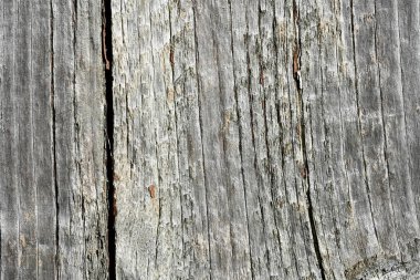 Plank arka planı açık gri eski ahşap