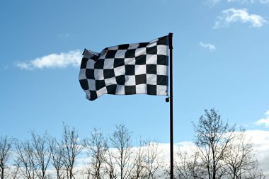 Ağaçların tepesinde mavi bir arka planda dalgalanan kareli bayrak.