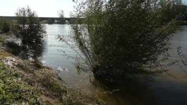 Sa-ne@-@ et-Loire 'deki Loire Nehri' nin yüksek seviyesi, taşan kıyıları ve taşan ağaçları