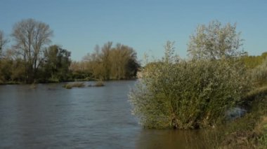 Sa-ne@-@ et-Loire 'deki Loire Nehri' nin yüksek seviyesi, taşan kıyıları ve taşan ağaçları