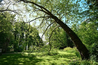 Leonardo da Vinci Parkı, Clos Luce Kalesi 'nde. Büyük şahsiyet hayatının son yıllarını 1516' dan 1519 'a kadar orada geçirdi.