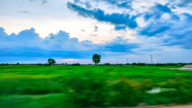 Canlı Günbatımı Tatlı Su Bataklığını aydınlatıyor