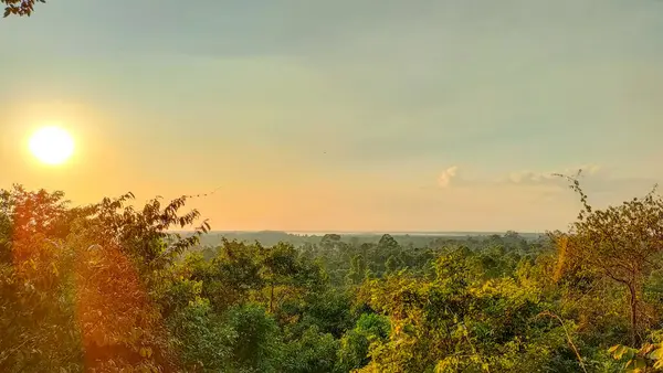 Canlı Yeşillik ve Huzurlu Gökyüzü ile Günbatımında Huzurlu Tropikal Orman