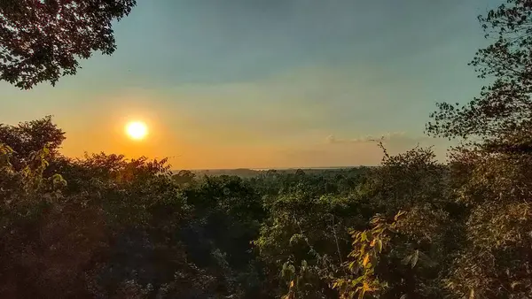 Canlı Yeşillik ve Huzurlu Gökyüzü ile Günbatımında Huzurlu Tropikal Orman