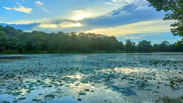 Sunset 'teki Serene Gölü Yoğun Orman ve Yansıtıcı Su ile çevrili