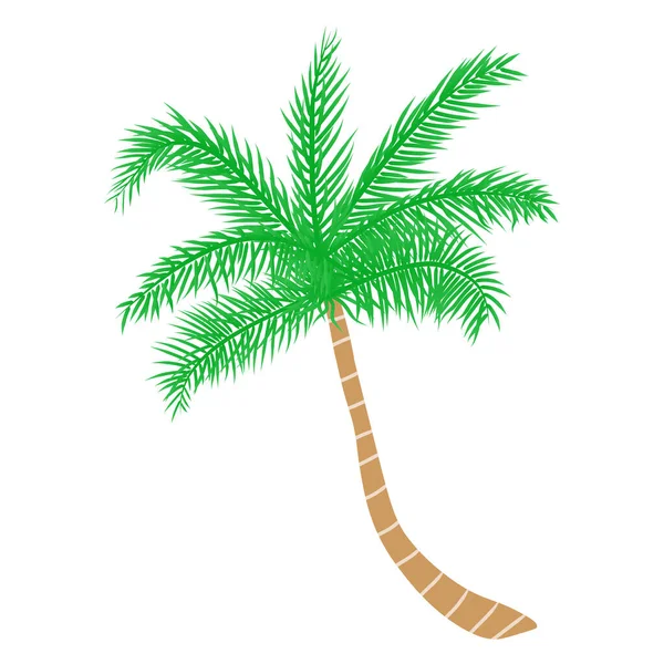 Palmier Tropical Illustration Vectorielle — Image vectorielle