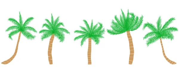 Тропические Пальмы Векторная Иллюстрация — стоковый вектор