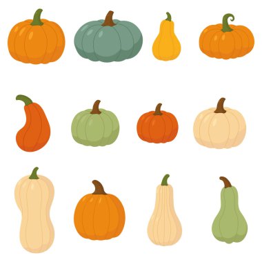 Sonbahar tasarımı ve mevsimsel dekorasyon için yeşil turuncu ve bej renkleriyle çeşitli balkabağı ve kabak türleri