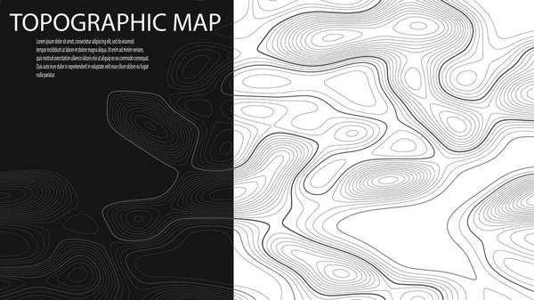 Topografische Karte Für Abstrakten Hintergrund Oder Tapete Und Design Graue — Stockvektor