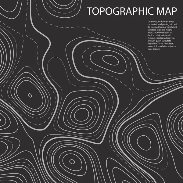 Arreglo Abstracto Líneas Estilo Mapa Topográfico Esbozos Claros Sobre Fondo — Archivo Imágenes Vectoriales